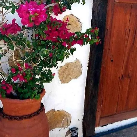 Alessia With Jacuzzi ,garden & Swimming Pool Tatil Evi *