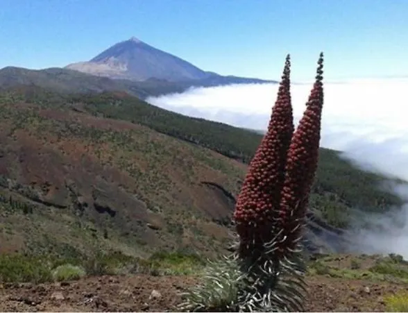 Alessia With Jacuzzi ,garden & Swimming Pool